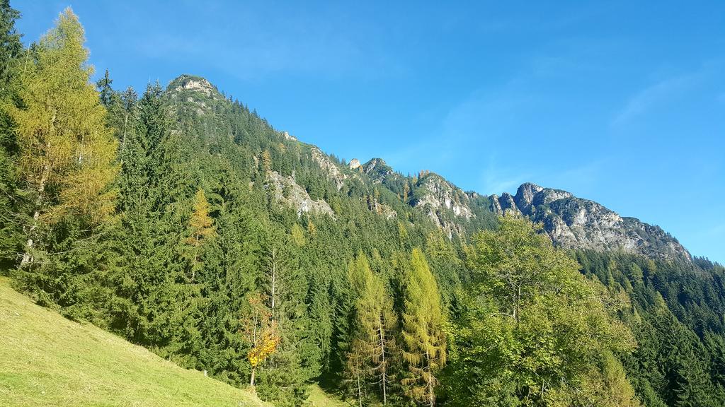 Апартаменти Studio Schwarzenauer Альпбах Екстер'єр фото
